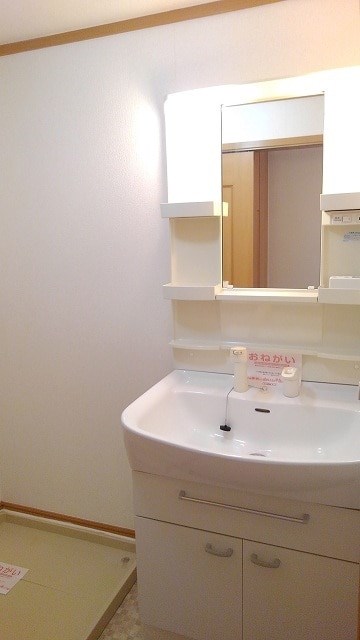 エクセルグリーンⅡ その他2