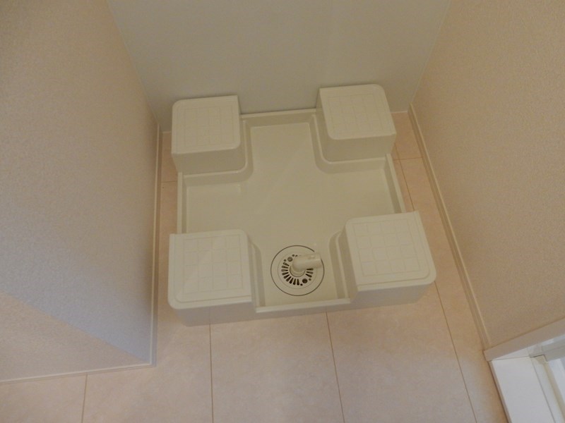 アイリス その他10