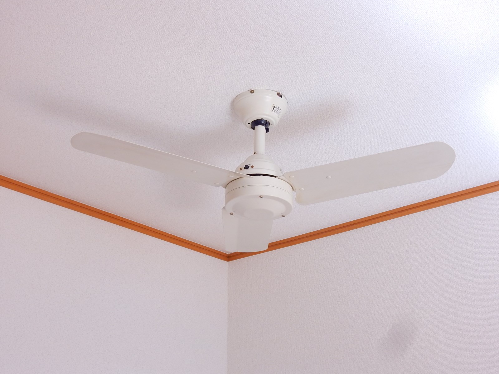 Confor Kajima  B棟 その他7