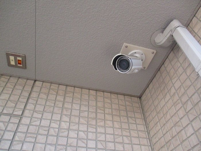 Cleyera青山 その他8