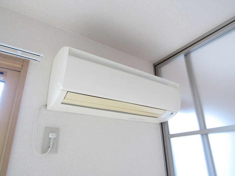 STステラⅢ その他5