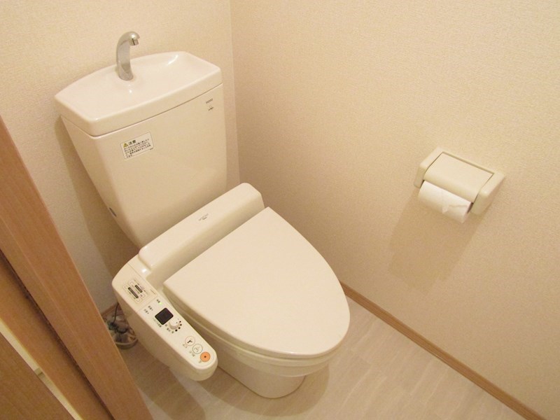 STステラⅢ その他8