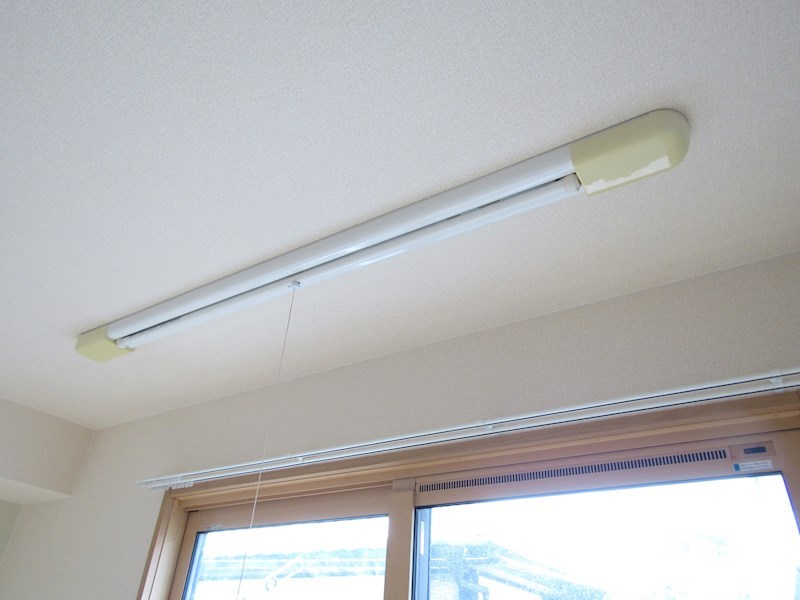 STステラⅢ その他14