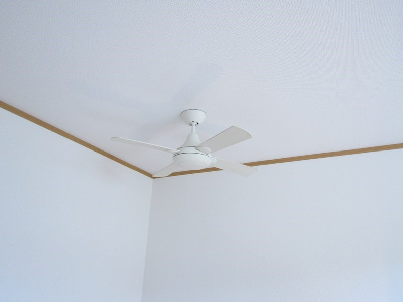 Carpa Cala その他14