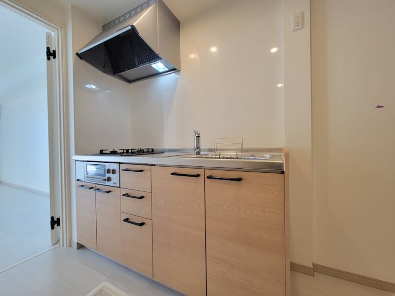 ANSER（アンセル） その他16