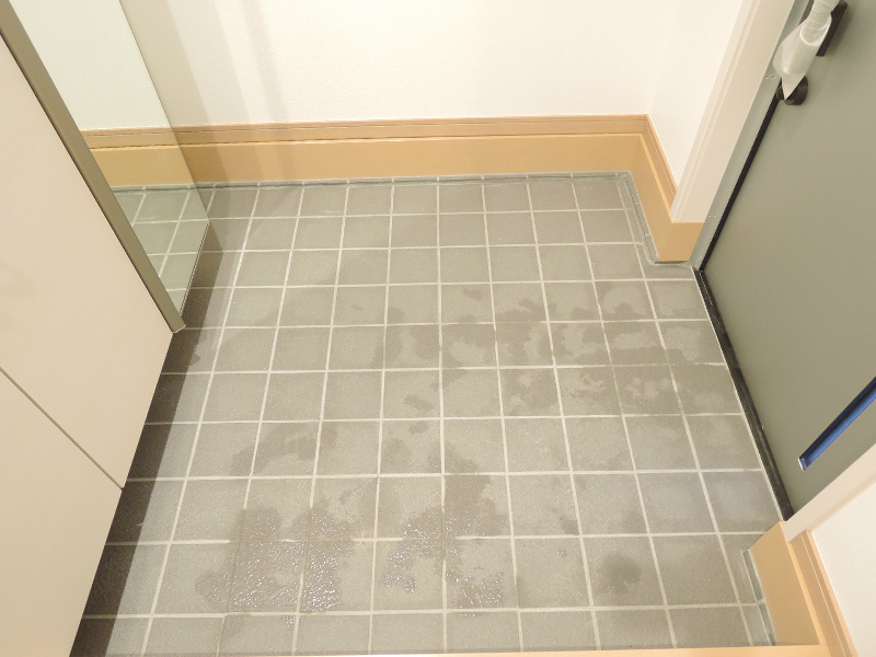 プレミアムヴィラ 玄関