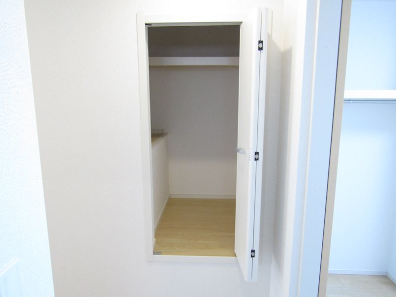 エバーグリーンC その他1