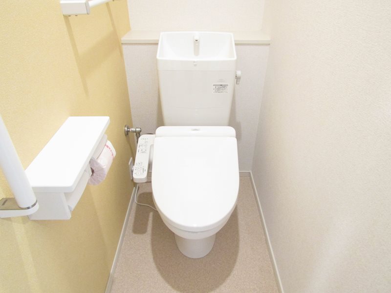 エバーグリーンC その他4