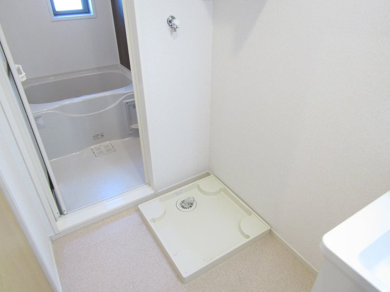 エバーグリーンC その他5