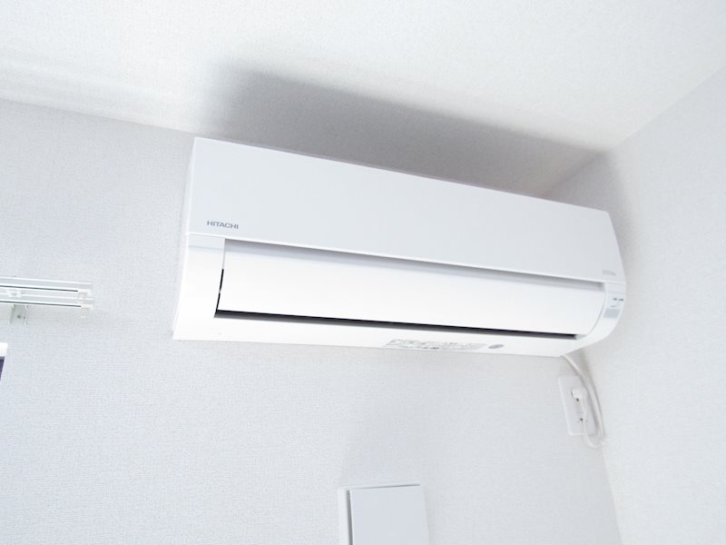 エバーグリーンC その他9