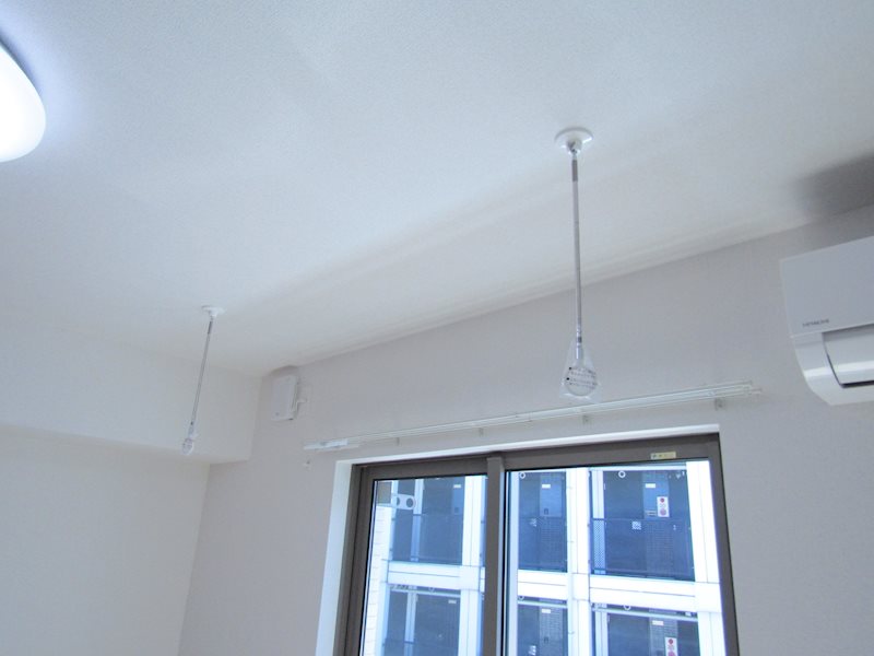 エバーグリーンC その他10