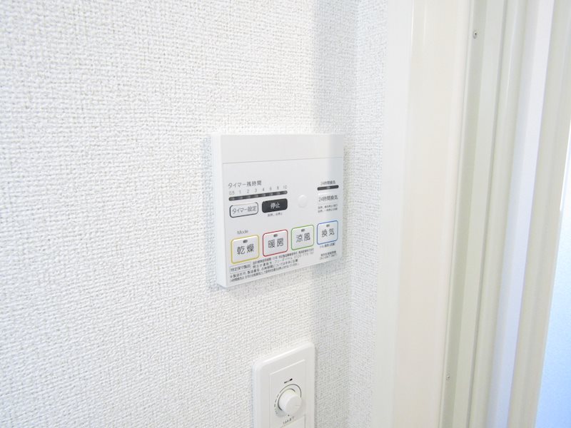 エバーグリーンC その他11