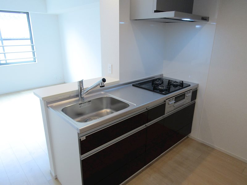 メゾンブリーズ キッチン