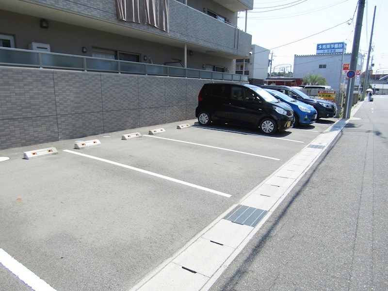 Lupinus その他2