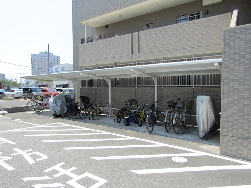 Lupinus その他3
