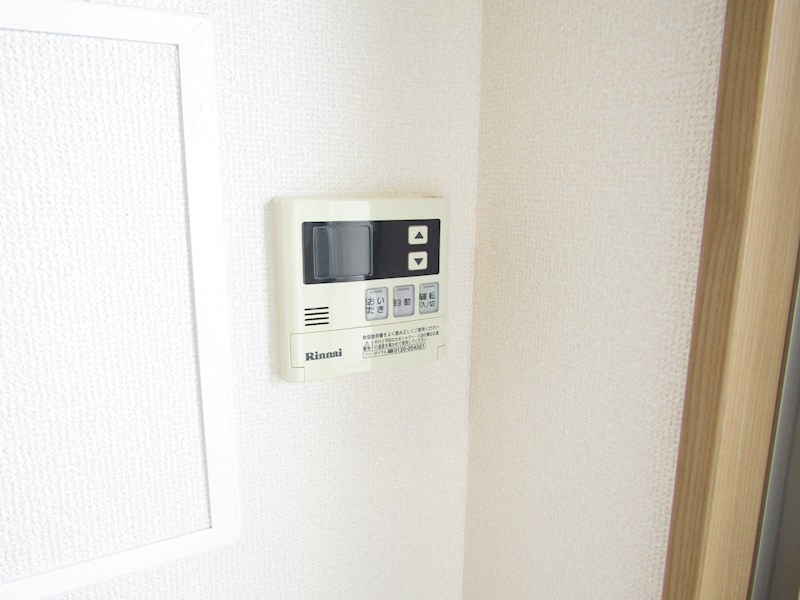 Lupinus その他14