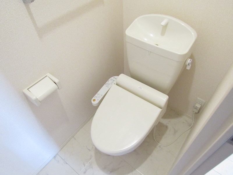 セラリッシュ その他1