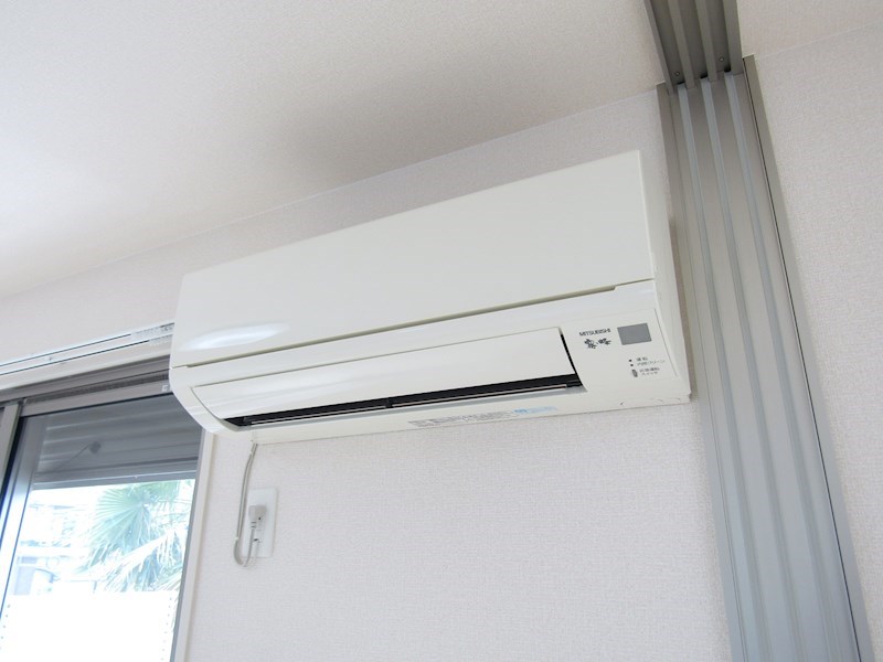 セラリッシュ その他3