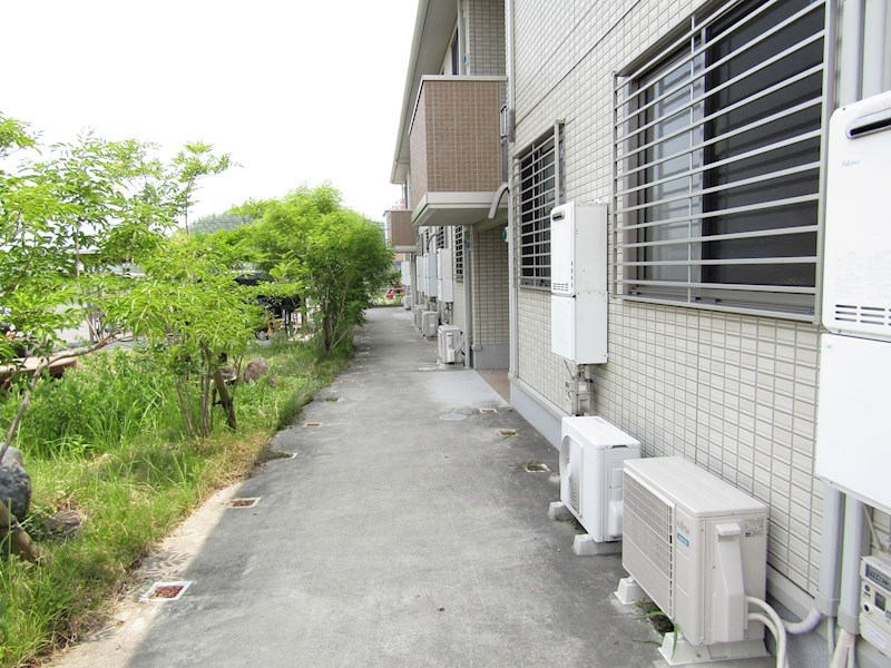 セラリッシュ その他6