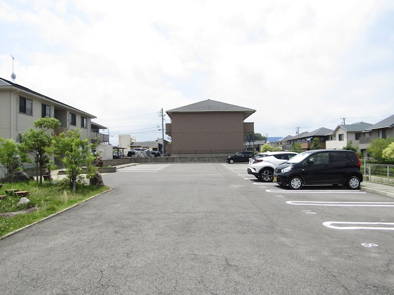 セラリッシュ その他7