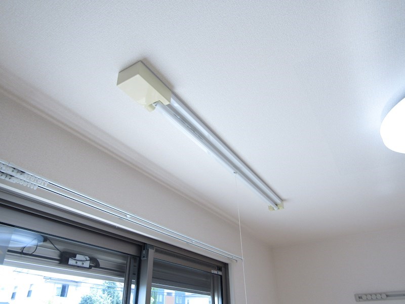 セラリッシュ その他12