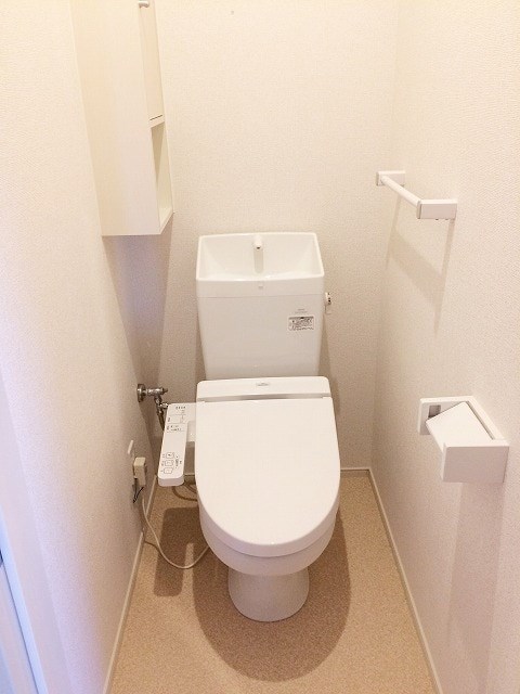 リサヤニシル その他1