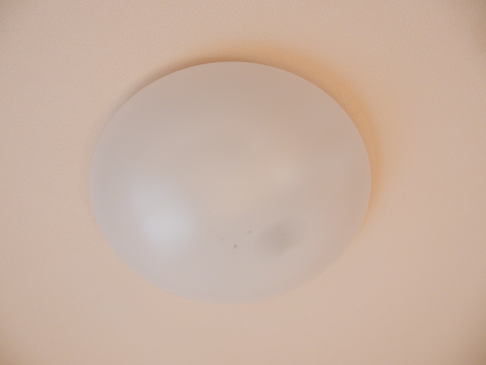 オーシャンフロントりんくう（旧セントフィールドHouji） その他8