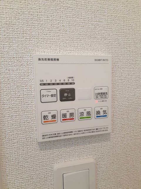 エバーグリーンD その他4