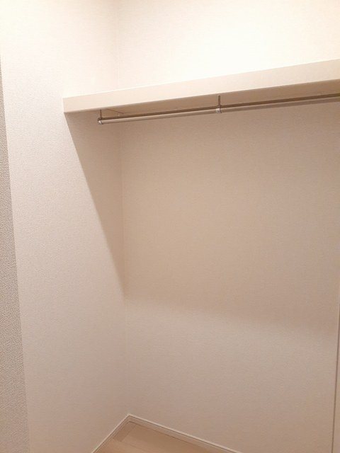 エバーグリーンD その他5