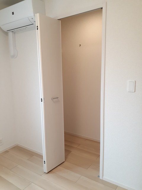 エバーグリーンD その他3