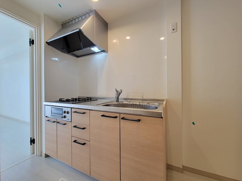 ANSER（アンセル） その他17