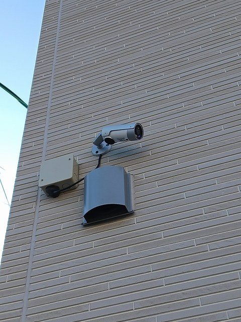 フラン瑞穂　A その他4