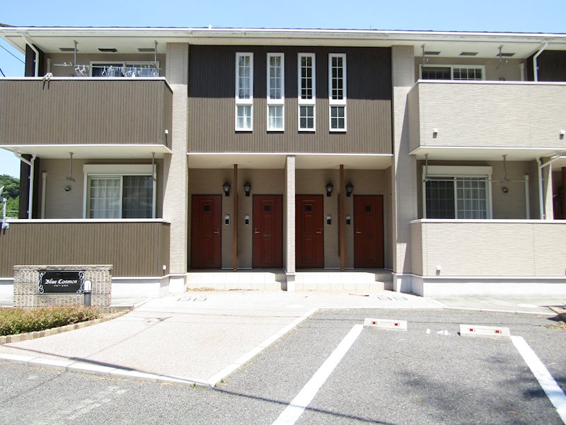 ブルー　コスモ その他1