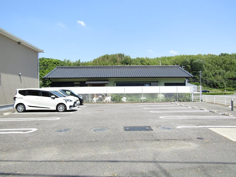 ブルー　コスモ その他2