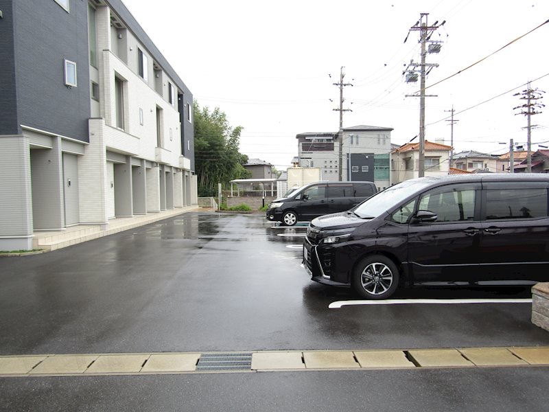 ステラ　C その他1