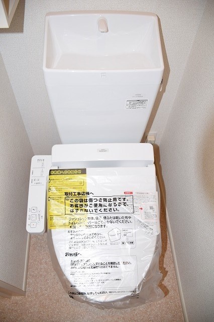 ステラ　C その他4