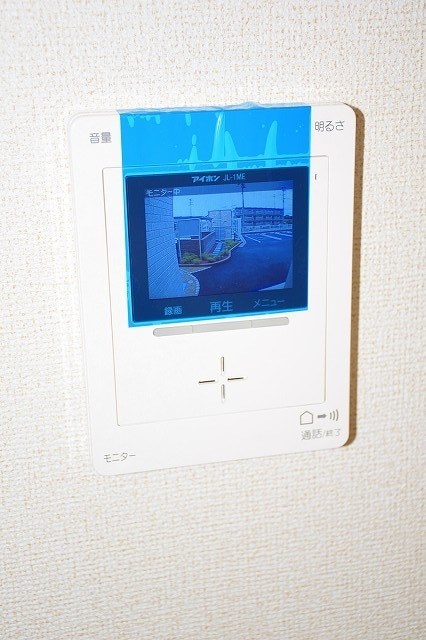ステラ　C その他7