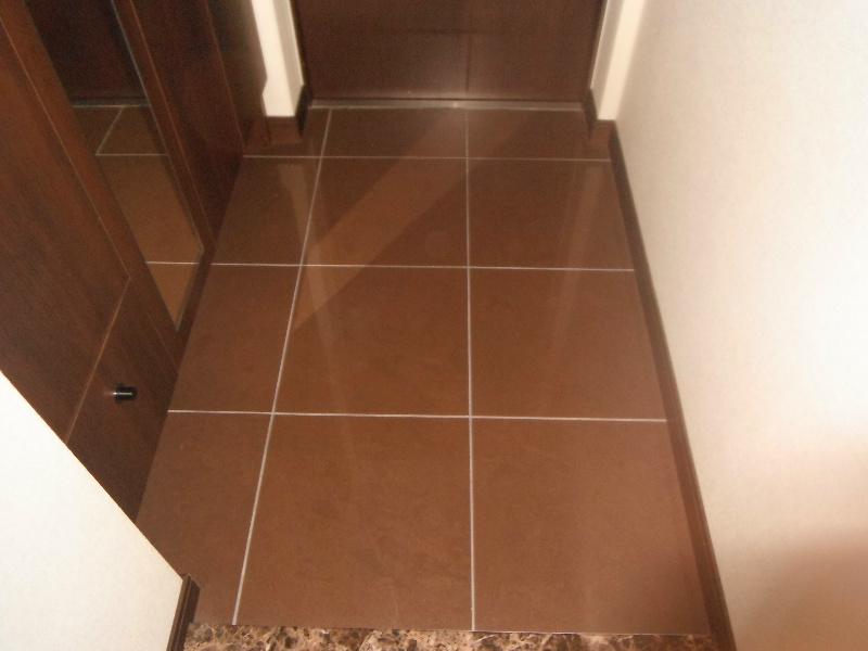 ﾗｲｵﾝｽﾞ半田ﾌﾟﾚｽﾃｰｼﾞﾚｼﾞﾃﾞﾝｽ 玄関