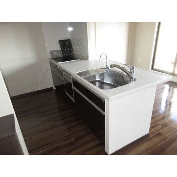 ﾗｲｵﾝｽﾞ半田ﾌﾟﾚｽﾃｰｼﾞﾚｼﾞﾃﾞﾝｽ キッチン