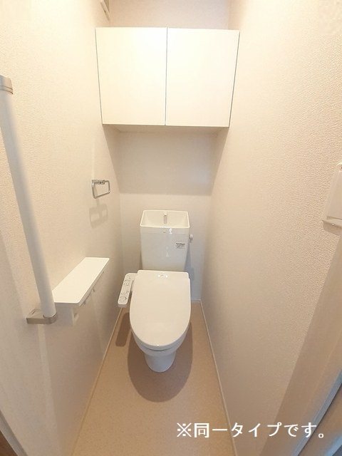 プリマステラ その他1