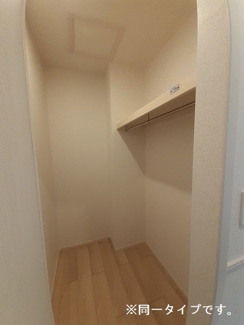 プリマステラ その他5