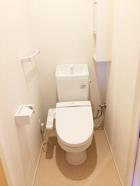 リサヤニシル その他1