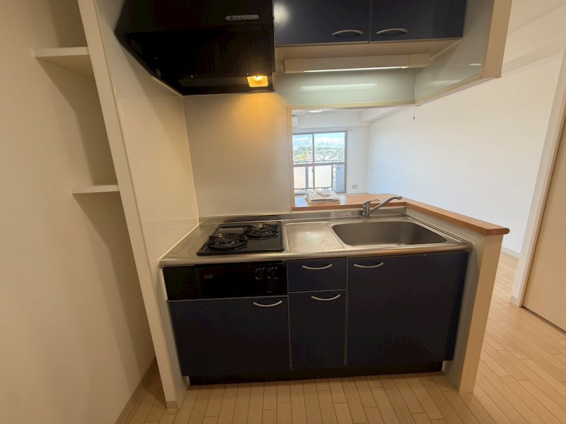 キャッスル常滑 キッチン