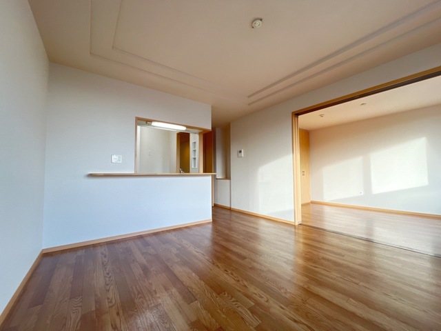 ASPIRE Ⅵ その他9