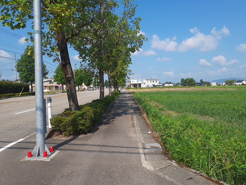 砺波市杉木5丁目貸土地  外観