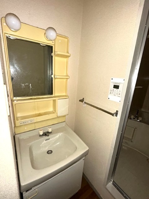 セジュール・パークサイド 洗面所