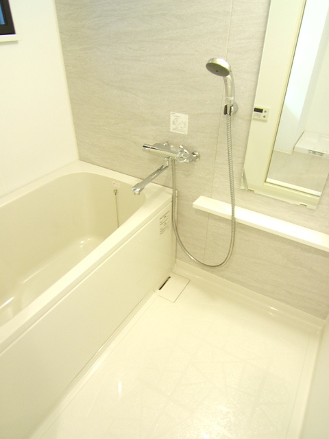 写真別室の為現状を優先します アガスティーア薬院 風呂画像