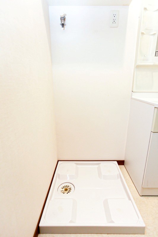 その他 サヴォイテンジンスクワイヤー その他8