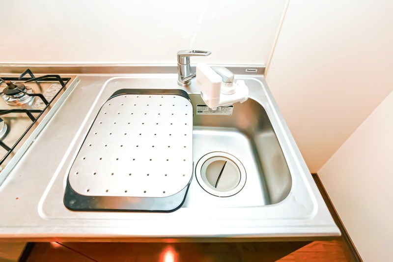 その他 サヴォイテンジンスクワイヤー その他15