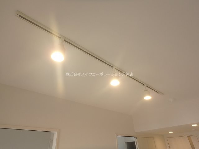 リアンプレミアムレジデンス平和 その他12